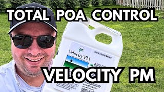 Eliminate Poa Forever With Velocity PM  Targets Poa Trivialis amp Poa Annua [upl. by Jezrdna]