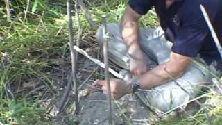 How to make a primitive trap the tbar snare wilderness survival traps [upl. by Neuberger]