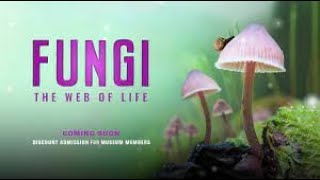 FUNGI IMAX movie  narrated by Björk presented by Merlin Sheldrake timelapses by Planet Fungi [upl. by Kenweigh]