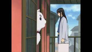 Katsura meets Sadaharu  Gintama [upl. by Aihsinyt243]