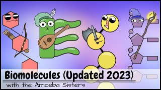 Biomolecules Updated 2023 [upl. by Suoirrad]