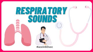 Respiratory Sounds  Abnormal Breath sounds acein60sec clinical [upl. by Eerehc]