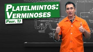 Biologia  Verminoses de Platelmintos [upl. by Enywad]