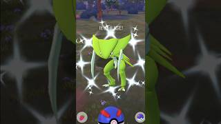 When Fully Green Its Huge Shiny spawns 😳 Pokemon go [upl. by Yddur394]