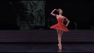 RAYMONDA  Variation Act 3 Virna Toppi  Teatro Alla Scala [upl. by Eiloj]