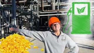 Why US Farmers Grow So Much Corn [upl. by Svetlana549]