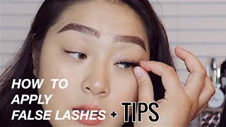 How to Apply False Lashes for Beginners  tips and tricks for Hooded Eyes  EyesOnJess [upl. by Jacobsen]