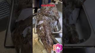 biggest monkfish viralvideo [upl. by Prebo]