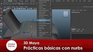 3D Autodesk Maya 014 Practicas basicas con nurbs [upl. by Vijar]