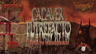 CADAVER PUTREFACTO  Ritual de Exsanguinación Lyric Video [upl. by Laehpar]