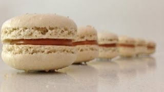 Salted Caramel Macaron Recipe HOW TO Cook That Ann Reardon [upl. by Aicnilav]