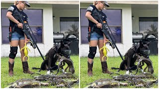 Day 24 Hired To Remove Giant Iguanas From Private Community Pond Iguanas Are Eating Everything [upl. by Ztirf]