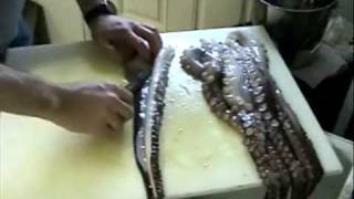 Octopus Leg Skinning Video [upl. by Rusty]