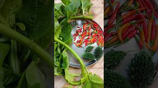 ଛାତ ଉପରେ ଓର୍ଗାନିକ୍ ପରିବା ଚାଷ  Terrace garden vegetableharvesting organicgardening short [upl. by Kam213]