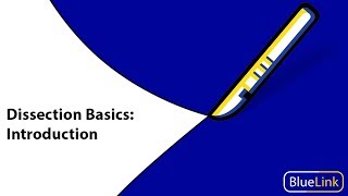 Dissection Basics  Introduction [upl. by Nethsa7]