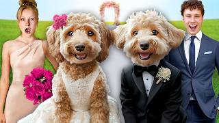 My DOG got MARRIED In Real Life [upl. by Selwyn]