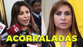 SE ACABÓ PATRICIA BENAVIDES SERÍA SUSPENDIDA EL 6 DE DICIEMBRE [upl. by Ahtanoj]