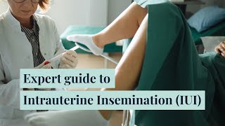 What is an IUI Expert guide to Intrauterine Insemination [upl. by Elleron]