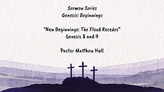 GENESIS CHAPTER 8 AND 9 quotNEW BEGINNINGSquot THE FLOOD RECEDES [upl. by Eldwun]