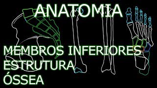 Aula Anatomia  Membros Inferiores  Estrutura Óssea  Anatomia Humana Osteomuscular [upl. by Anne-Marie]