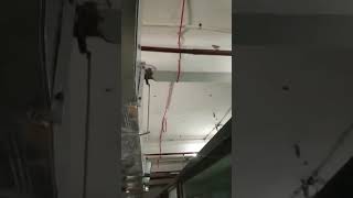 Fire alarm system cable work addressable SEWP SERVICES Pvt Ltd mahaveer Hospital sumerpur Rajasthan [upl. by Otsuaf447]