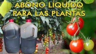 ABONO LÍQUIDO PARA TUS PLANTAS A PARTIR DE ESTIERCOL [upl. by Novyart]