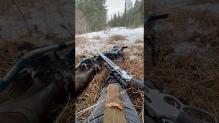 Doing a little predator hunting predator homestead offgrid bears wolves coyotes hunting [upl. by Beth750]