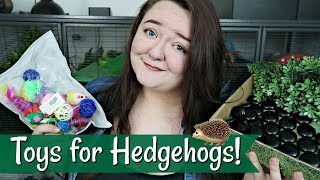 Toys for Hedgehogs [upl. by Greff987]