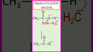 Reaction of acetic acid CH3COOH with diazomethane CH2N2 chemistry [upl. by Sapphire]