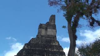 Maya city of Tikal Guatemala [upl. by Nalim]