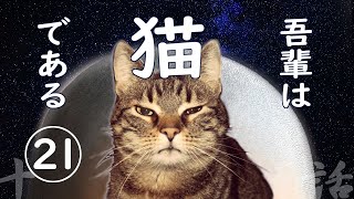 【朗読】吾輩は猫である21／夏目漱石 [upl. by Eerolam]