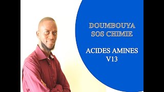 ACIDES αAMINÉS V13 PROPRIÉTÉS CHIMIQUES DE LA CHAINE LATERALE DES ACIDES αAMINÉS [upl. by Gnouv]