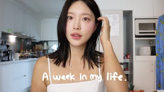 VLOG 일상 브이로그 요즘 하는 흐릿 메이크업 달바 홈트라이 서비스 체험기 화장품 체험하고 반값구매💯 오아드 블러셔 일주일 출근룩 등대아구찜 [upl. by Pazia]