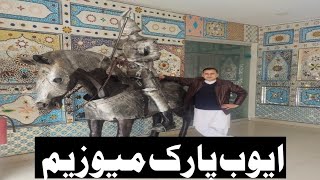 Ayub Park Museum Rawalpindi  Visit to National Park  Malik azhar vlogs [upl. by Muhcon]