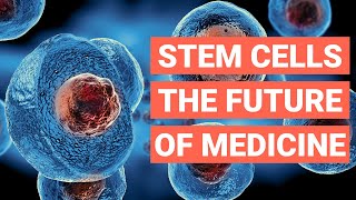 Stem Cells The Future of Medicine [upl. by Giacamo849]