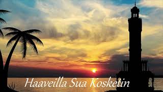 HAAVEILLA SUA KOSKETIN cover [upl. by Ojimmas]