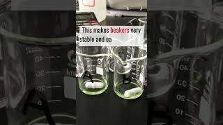 Facts About Beakers You Must Know Beaker Description  Sugar TV [upl. by Llerrot729]