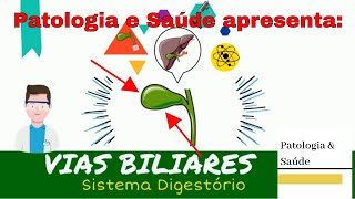 Histologia do Sistema Digestório Vesícula Biliar e Vias Biliares [upl. by Libre]