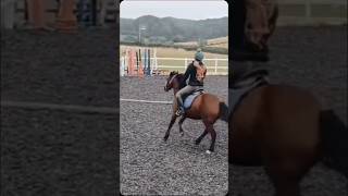 Troika 💚 equestrian horseriding horse cute [upl. by Adaline]