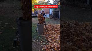 Easy way to get rid of leaves by mulching them with a mower leaves yardwork lawncare landscaping [upl. by Kilk770]