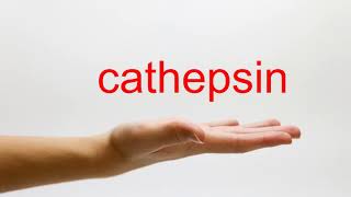 How to Pronounce cathepsin  American English [upl. by Airednaxela]