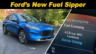 2020 Ford Escape Hybrid  Watch Out RAV4 [upl. by Vedis]