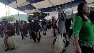 Los diablos de San Miguel Tlacotepec Oaxaca Fiesta patronal en SABINILLO Oaxaca2024 [upl. by Nosiddam279]