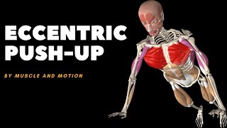 Eccentric Pushup Anatomy Analysis amp Common Mistakes [upl. by Nylek]