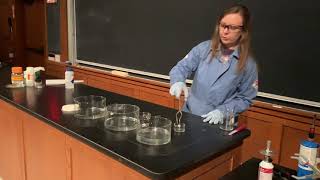 Reactivity of Alkali Metals with Water [upl. by Strickman895]