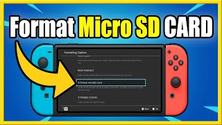 How to Format Micro SD Card on Nintendo Switch Fast Method [upl. by Nahtnanhoj]