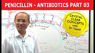 Penicillin  Antibiotics  Dr Najeeb  Part 34 [upl. by Skell]