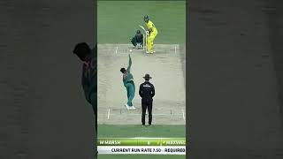 Australia All Fall of Wickets Against Pakistan PAKvAUS SportsCentral Shorts PCB M7C2K [upl. by Einor673]