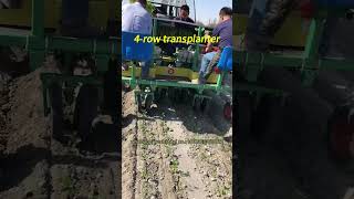 4row tractormounted transplanter efficient seedling transplanting Vegetable seedling transplanter [upl. by Aprilette]