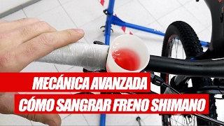 MECÁNICA AVANZADA  Cómo Sangrar unos frenos Shimano [upl. by Toblat]